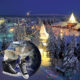 Finland number